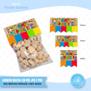 Arquivo Kit de Lapelas Festa Junina #1